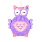 Premium Owl Push Hot Water Bottle (750ml)