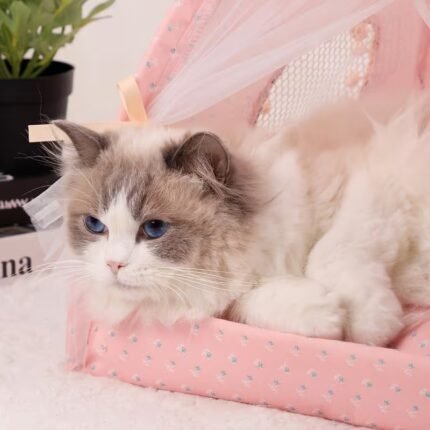 Premium Pink Floral Cat Tent Bed, Cosy & Elegant Hideaway