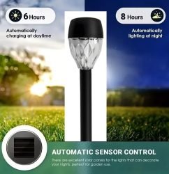 12-Pack Solar Garden Stake Lights